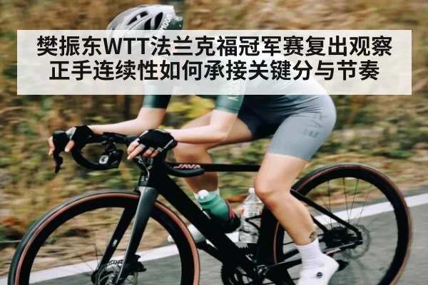 樊振东WTT法兰克福冠军赛复出观察 正手连续性如何承接关键分与节奏